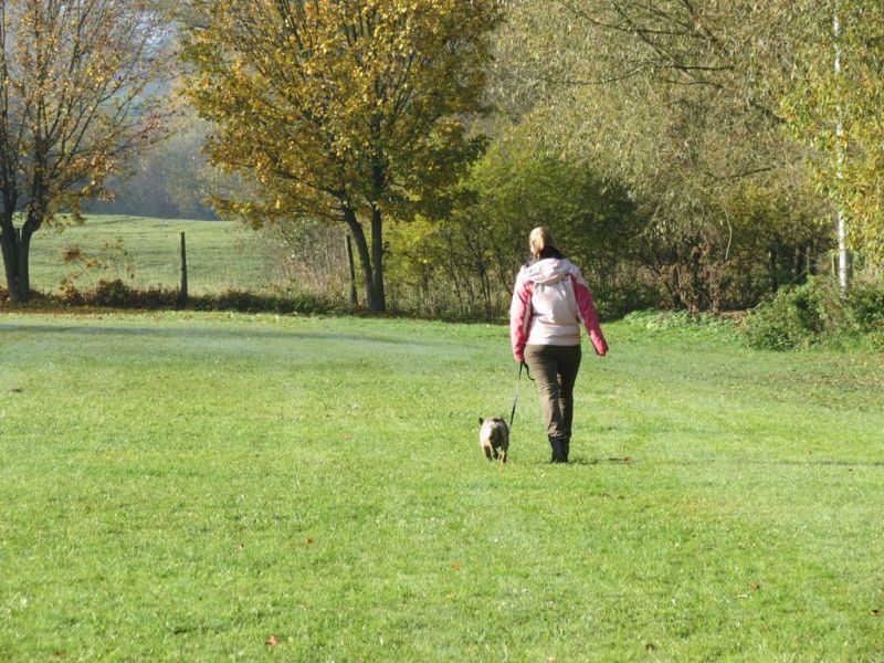 Begleithundeprüfung Herbst 2015
