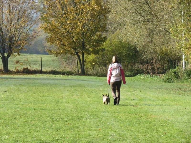 Begleithundeprüfung Herbst 2015