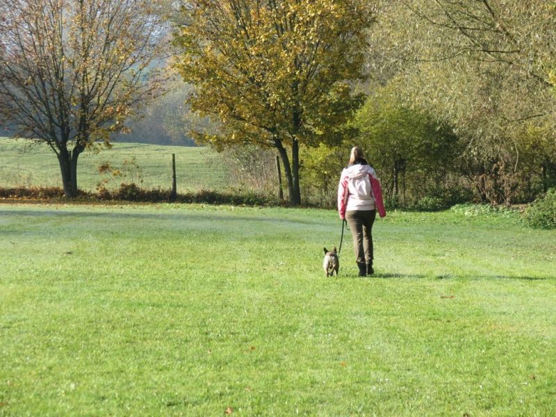 Begleithundeprüfung Herbst 2015