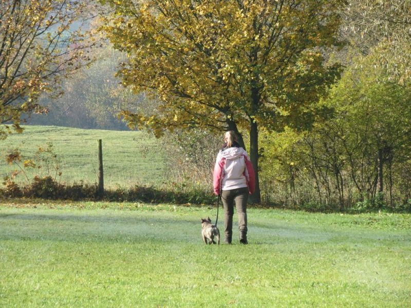 Begleithundeprüfung Herbst 2015