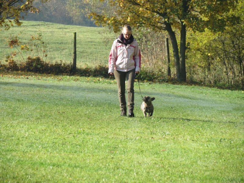 Begleithundeprüfung Herbst 2015