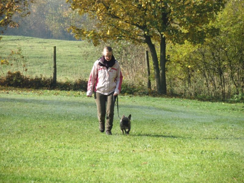 Begleithundeprüfung Herbst 2015
