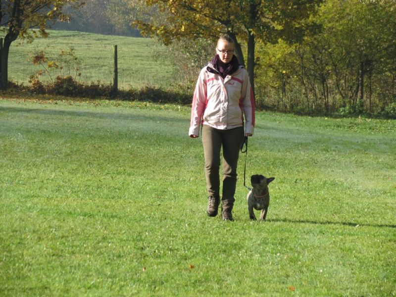 Begleithundeprüfung Herbst 2015