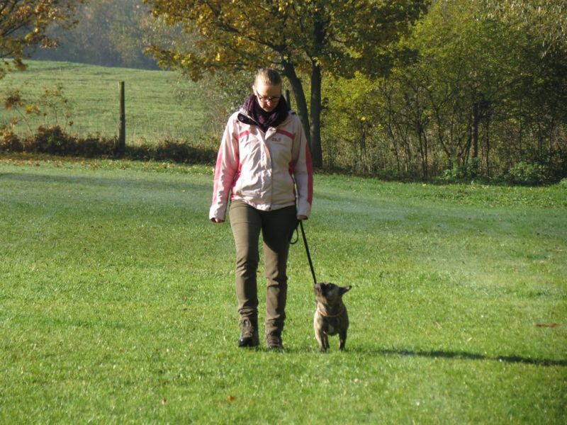 Begleithundeprüfung Herbst 2015