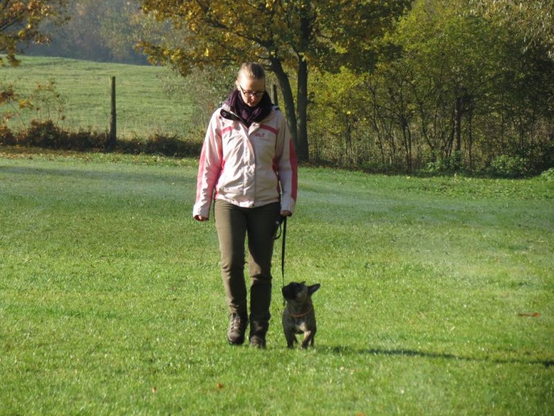 Begleithundeprüfung Herbst 2015