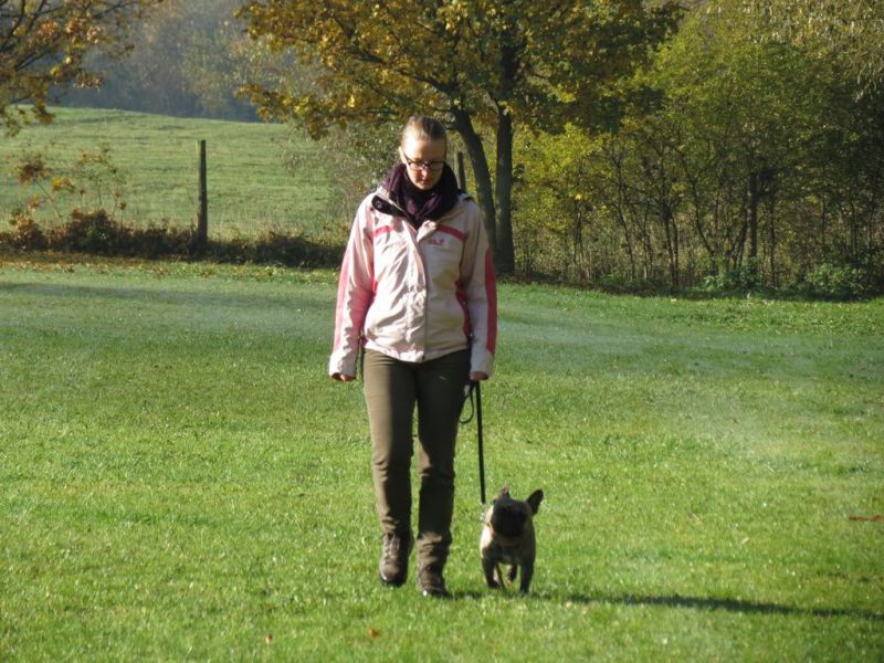 Begleithundeprüfung Herbst 2015
