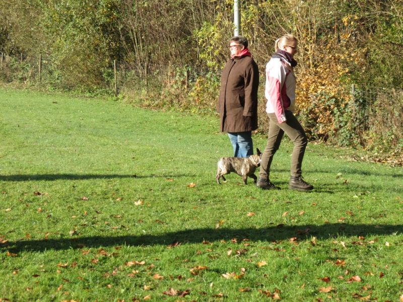 Begleithundeprüfung Herbst 2015
