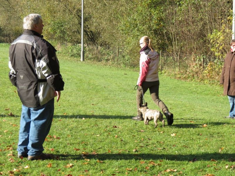 Begleithundeprüfung Herbst 2015