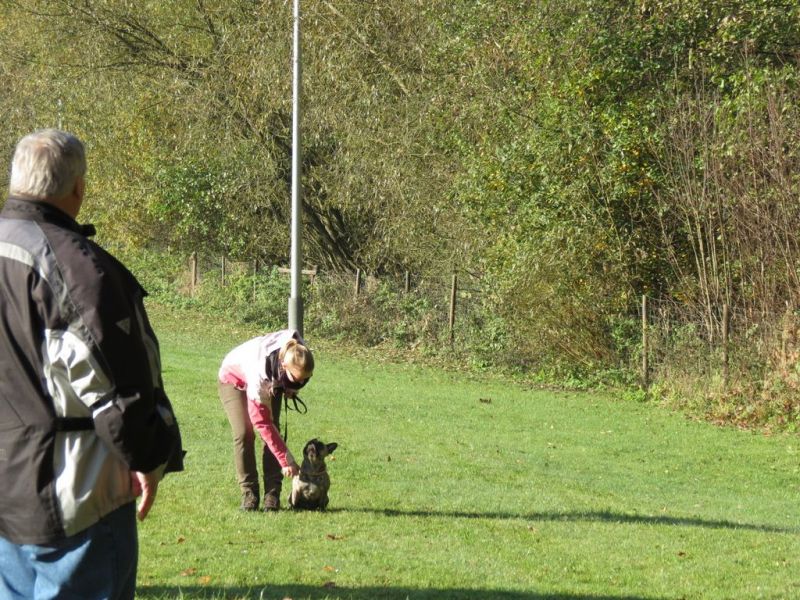 Begleithundeprüfung Herbst 2015