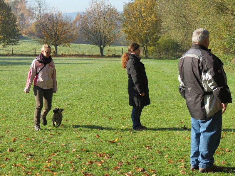 Begleithundeprüfung Herbst 2015