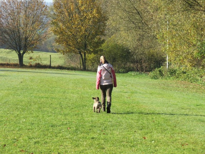 Begleithundeprüfung Herbst 2015