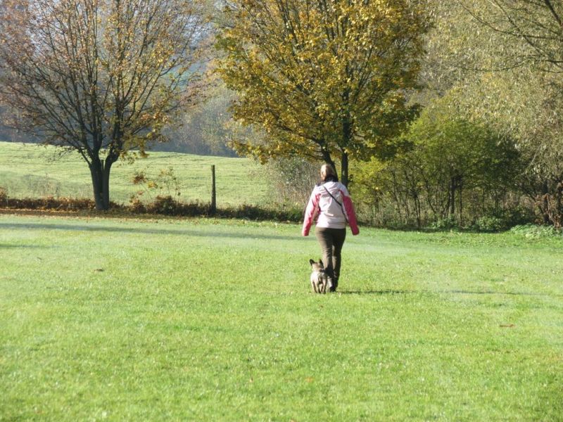 Begleithundeprüfung Herbst 2015