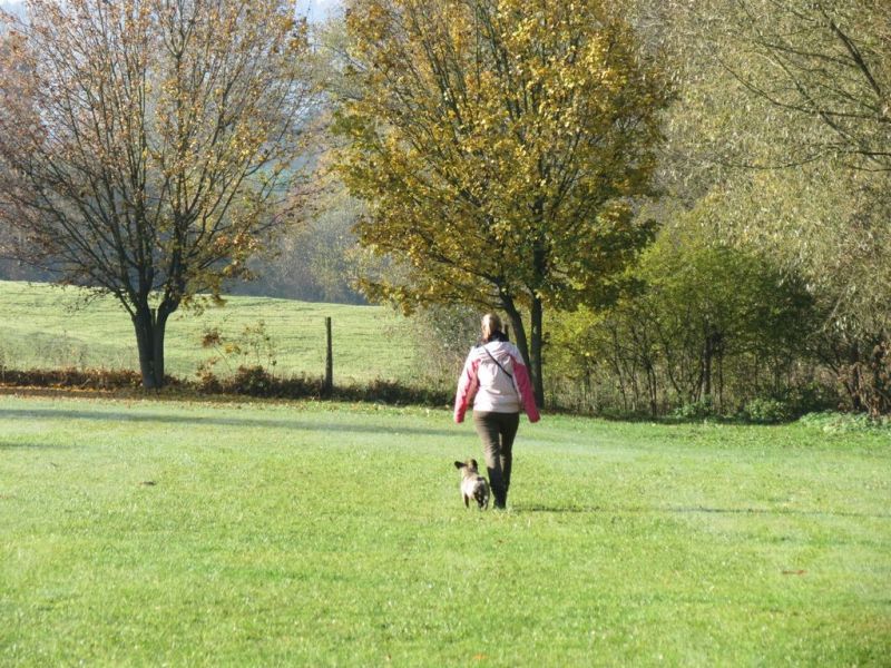 Begleithundeprüfung Herbst 2015