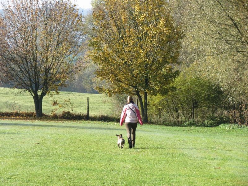 Begleithundeprüfung Herbst 2015