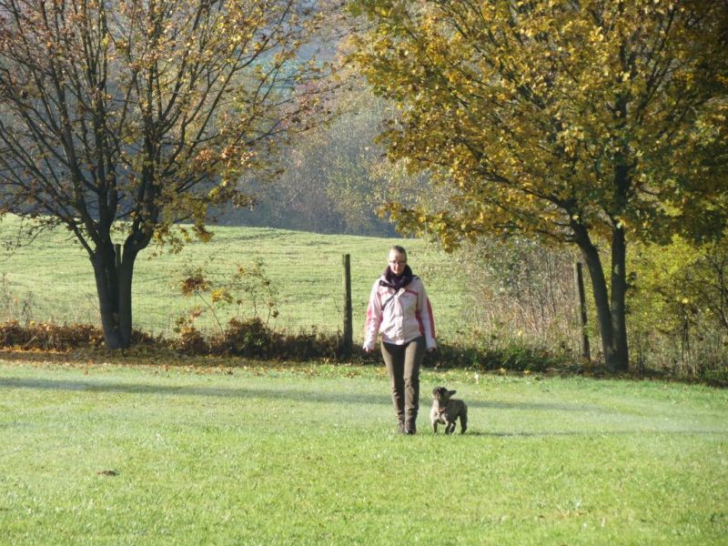 Begleithundeprüfung Herbst 2015