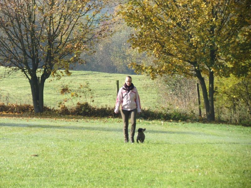 Begleithundeprüfung Herbst 2015