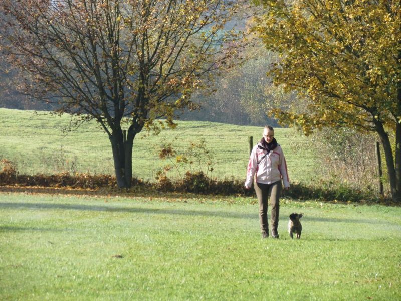 Begleithundeprüfung Herbst 2015