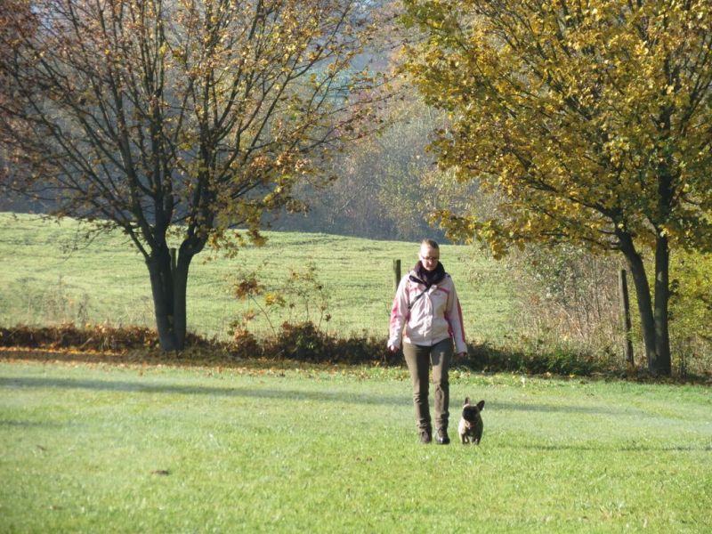 Begleithundeprüfung Herbst 2015