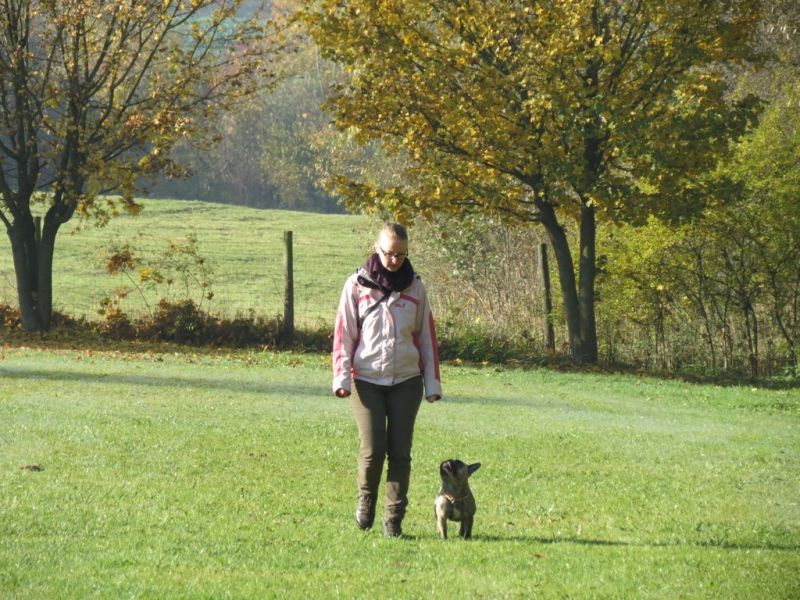 Begleithundeprüfung Herbst 2015