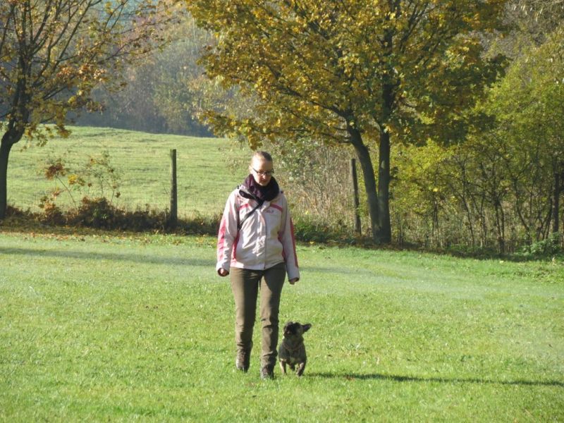 Begleithundeprüfung Herbst 2015