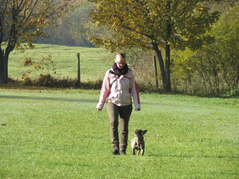 Begleithundeprüfung Herbst 2015
