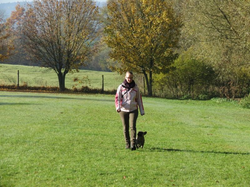 Begleithundeprüfung Herbst 2015
