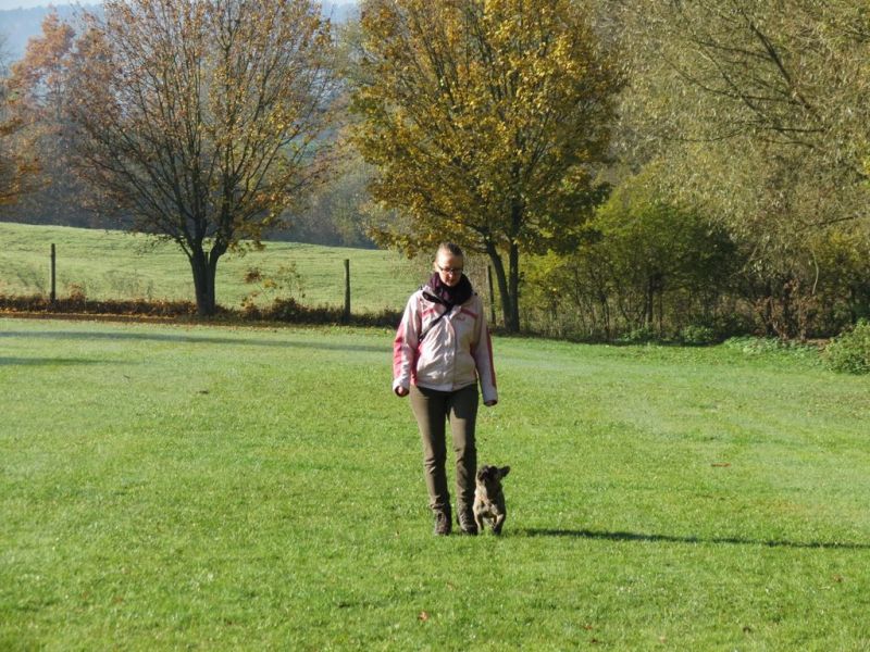 Begleithundeprüfung Herbst 2015
