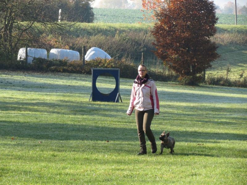 Begleithundeprüfung Herbst 2015