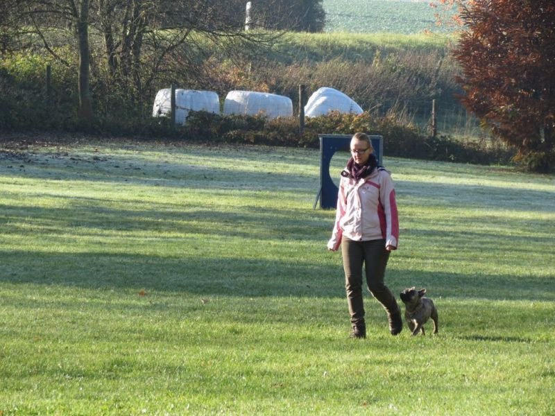 Begleithundeprüfung Herbst 2015