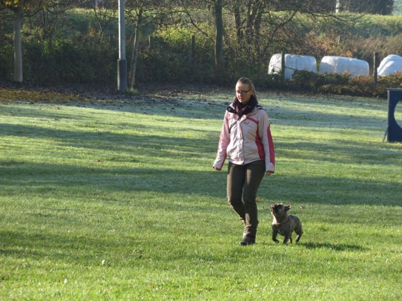 Begleithundeprüfung Herbst 2015
