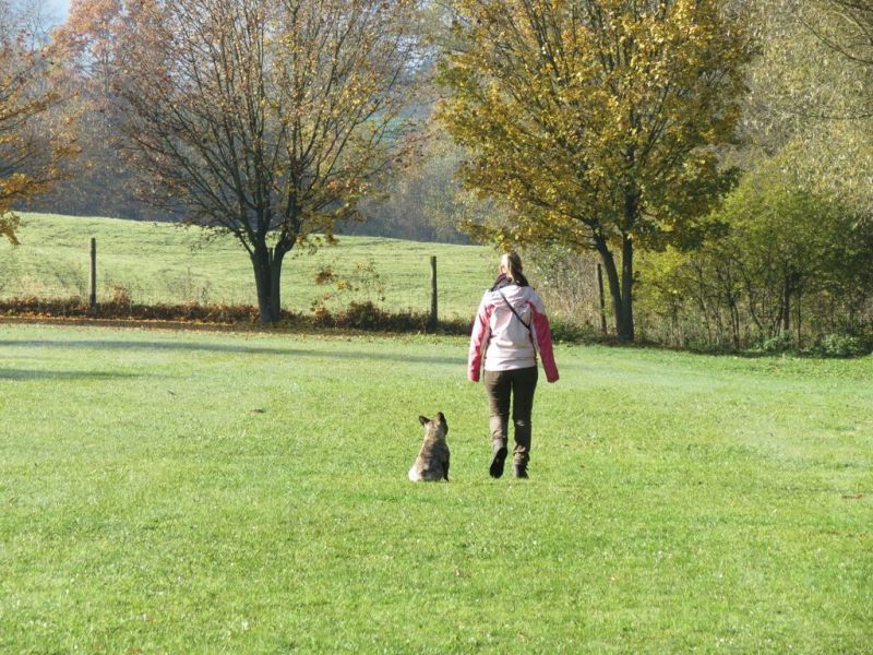 Begleithundeprüfung Herbst 2015