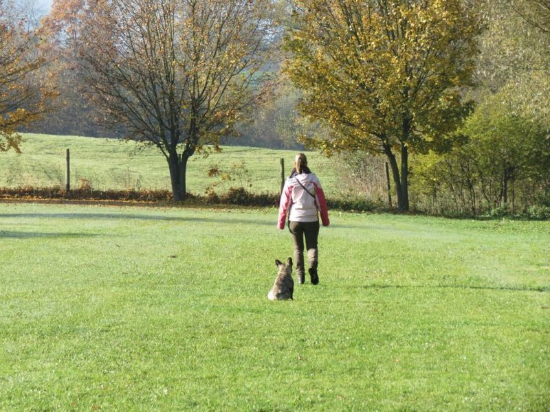 Begleithundeprüfung Herbst 2015