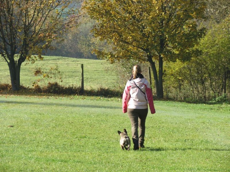Begleithundeprüfung Herbst 2015