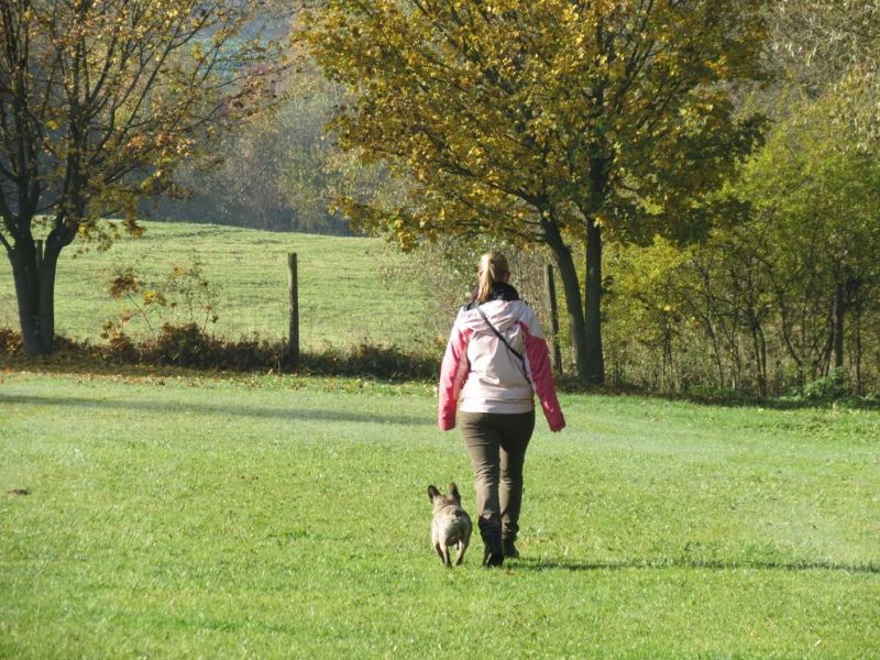 Begleithundeprüfung Herbst 2015