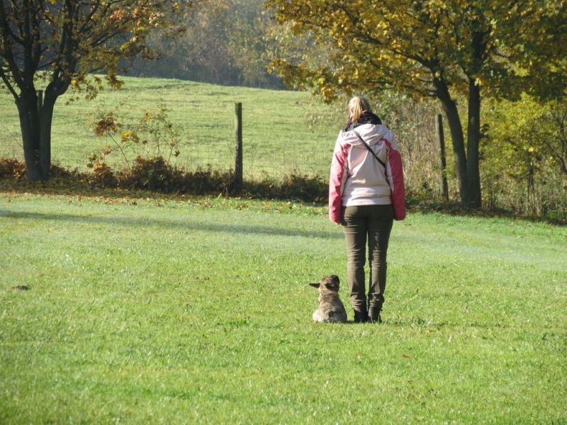 Begleithundeprüfung Herbst 2015