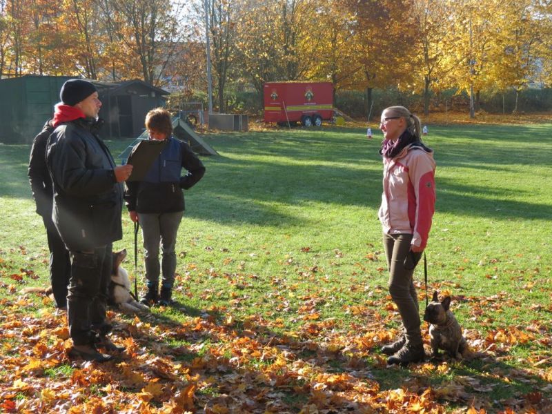 Begleithundeprüfung Herbst 2015