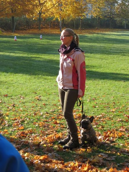 Begleithundeprüfung Herbst 2015