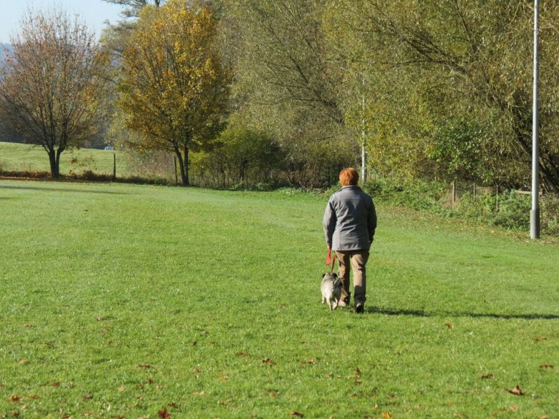 Begleithundeprüfung Herbst 2015