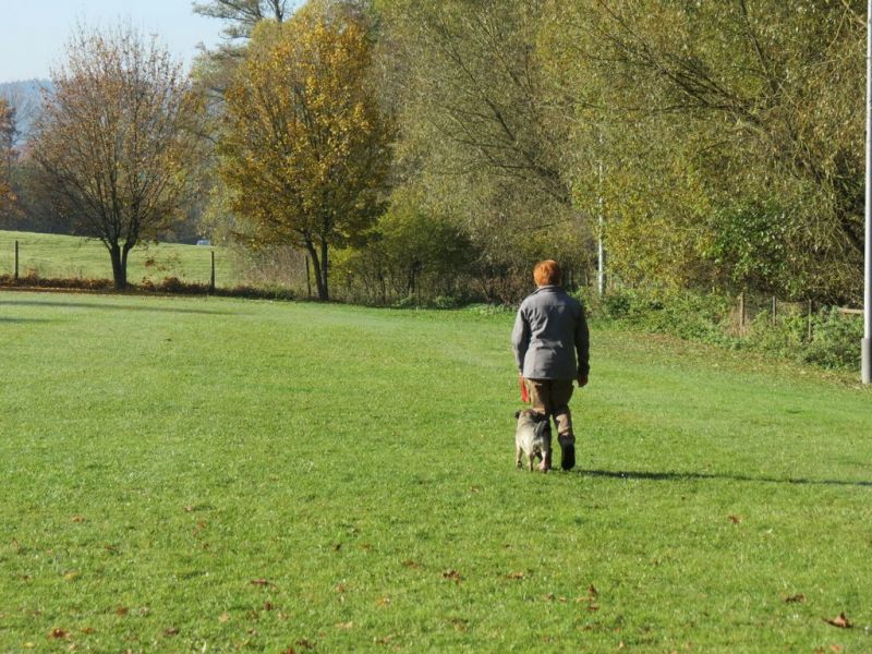 Begleithundeprüfung Herbst 2015