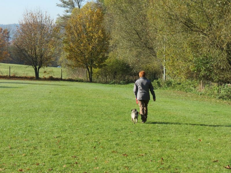 Begleithundeprüfung Herbst 2015