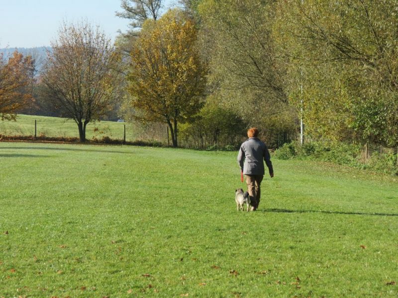 Begleithundeprüfung Herbst 2015