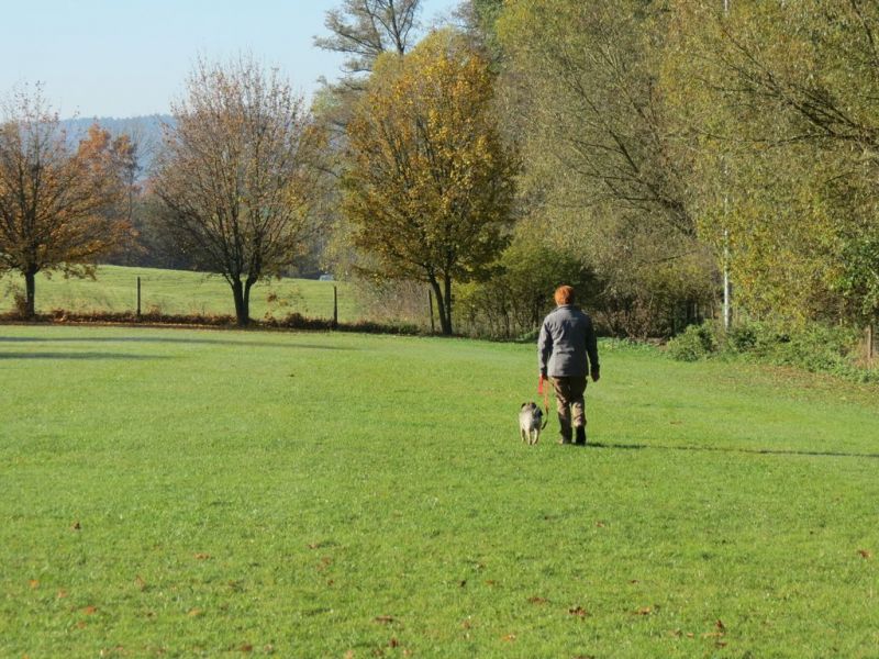 Begleithundeprüfung Herbst 2015
