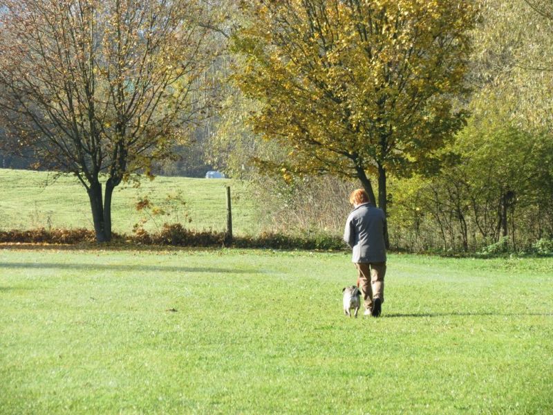 Begleithundeprüfung Herbst 2015