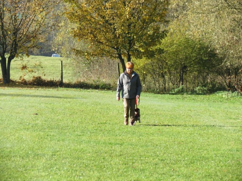 Begleithundeprüfung Herbst 2015