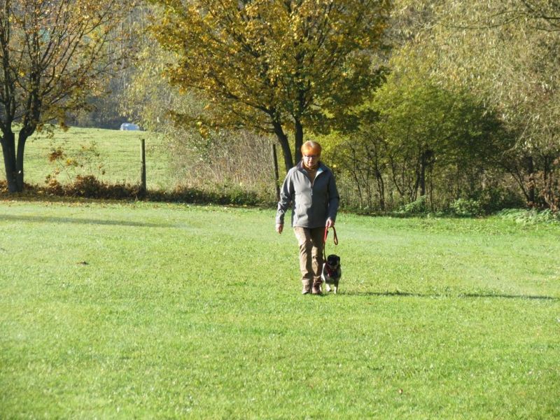 Begleithundeprüfung Herbst 2015