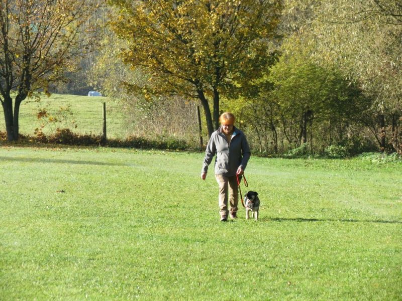 Begleithundeprüfung Herbst 2015