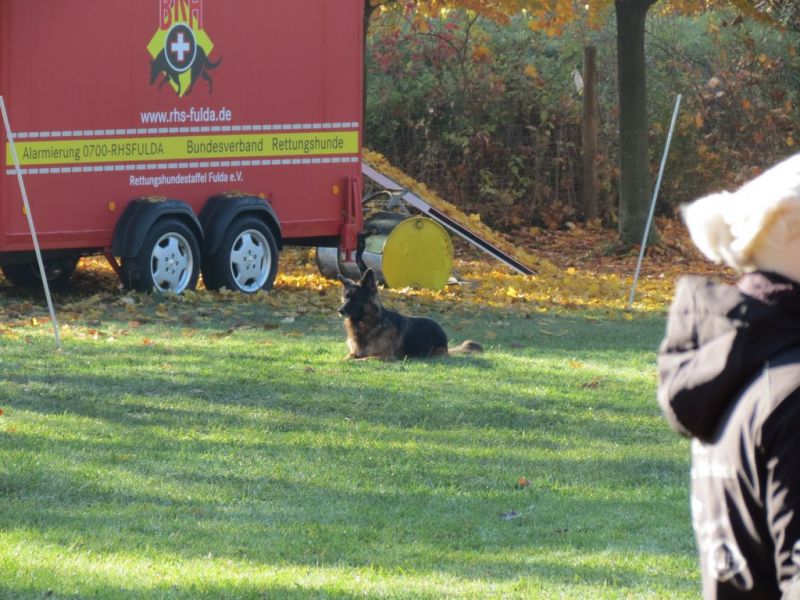 Begleithundeprüfung Herbst 2015