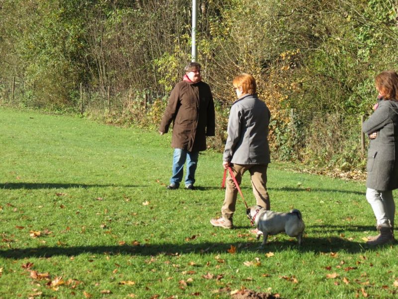 Begleithundeprüfung Herbst 2015