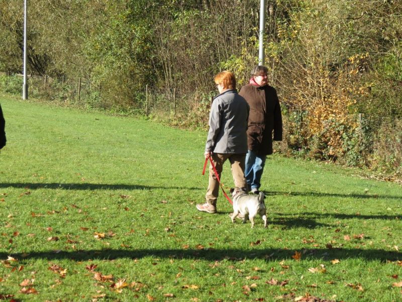Begleithundeprüfung Herbst 2015