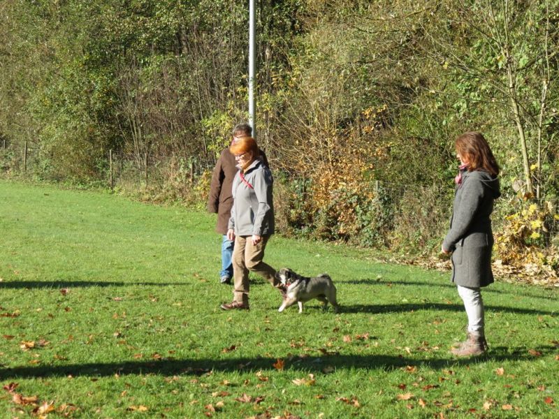 Begleithundeprüfung Herbst 2015
